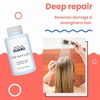 image:imageAQUA GUARD Swimmers Essential Hair Protection Bundle  Prevents Chlorine Damage  Softens Hair While Swimming  Color Safe Leaves Hair Smelling Great  Made in CaliforniaSwim Hair Rescue Kit Pack of 6